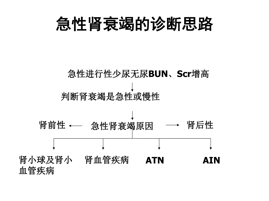 急性肾衰竭.ppt_第2页