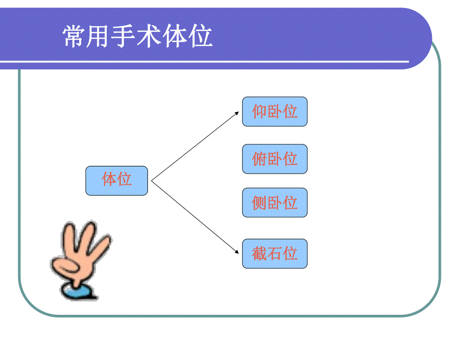 手术体位与压疮因素.ppt_第2页