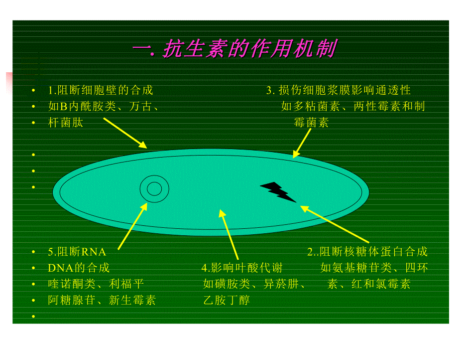 抗生素临床应用.ppt_第3页