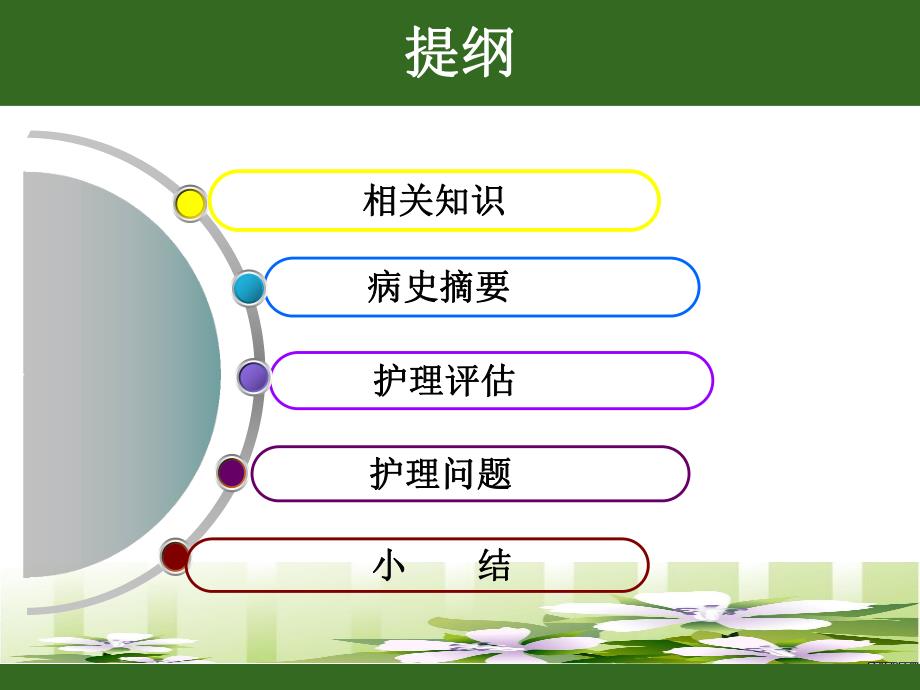 护理 查 房PPT.ppt_第2页