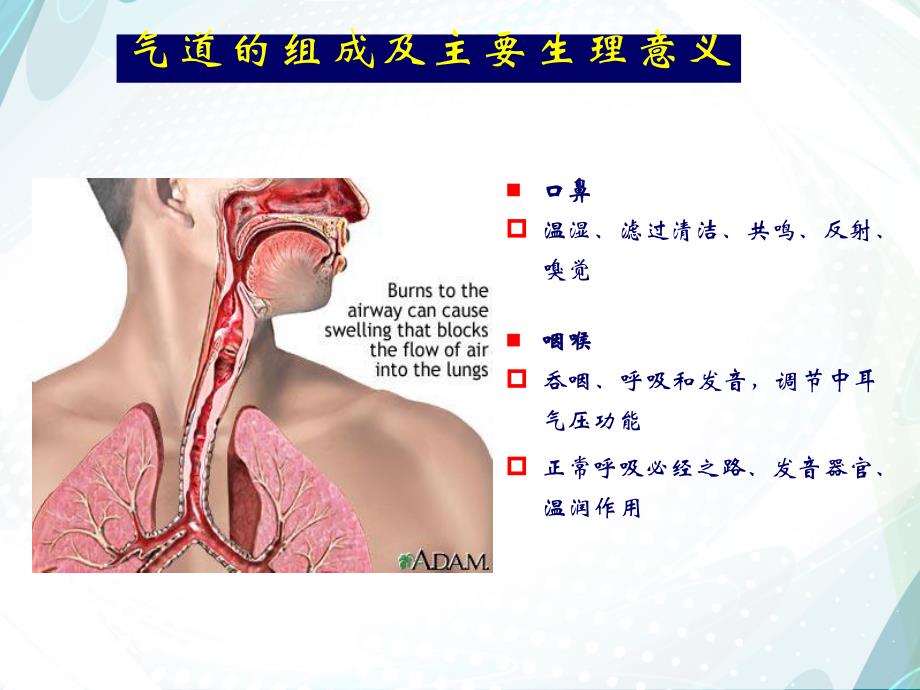 气管插管医学幻灯片.ppt_第3页