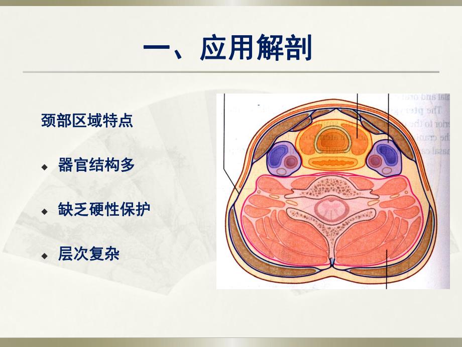 气管切开术精要.ppt_第2页