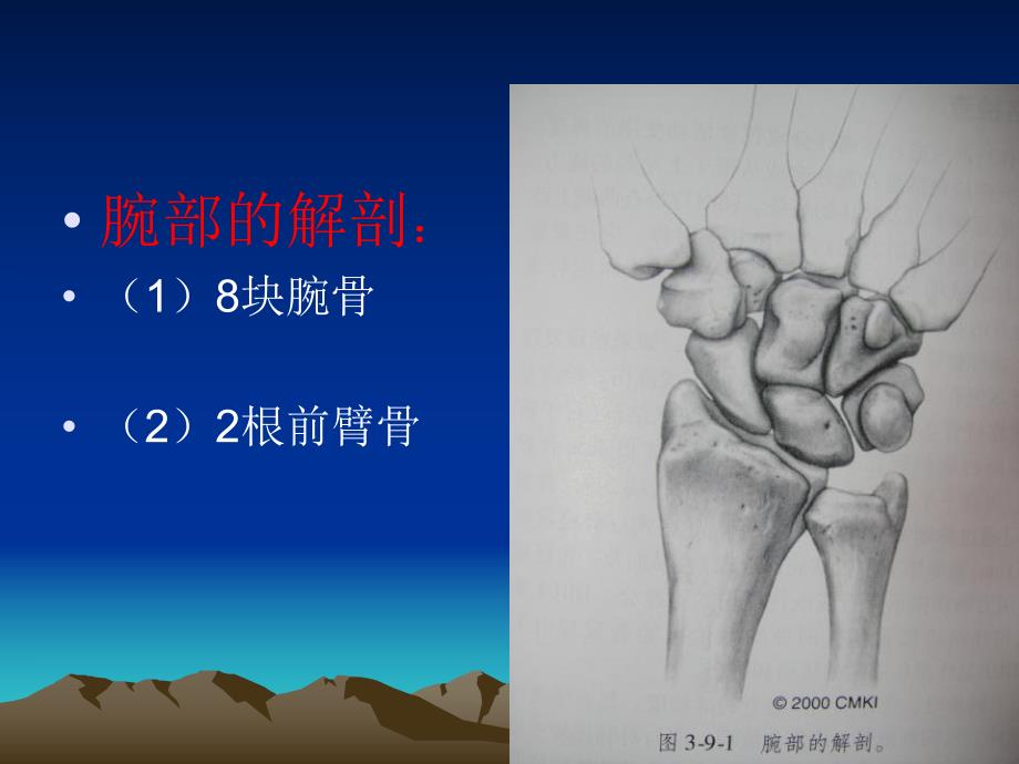 桡骨远端骨折的诊疗（精品PPT） .ppt_第3页