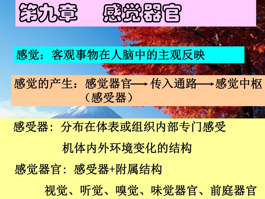 感觉生理.ppt_第1页