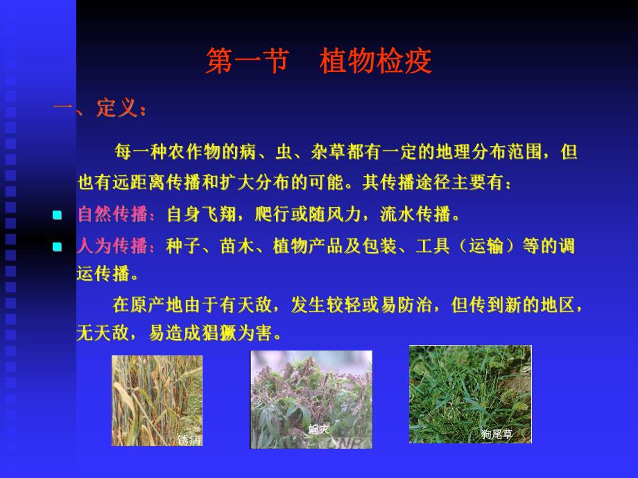 第六章 害虫防治原理方法.ppt_第3页