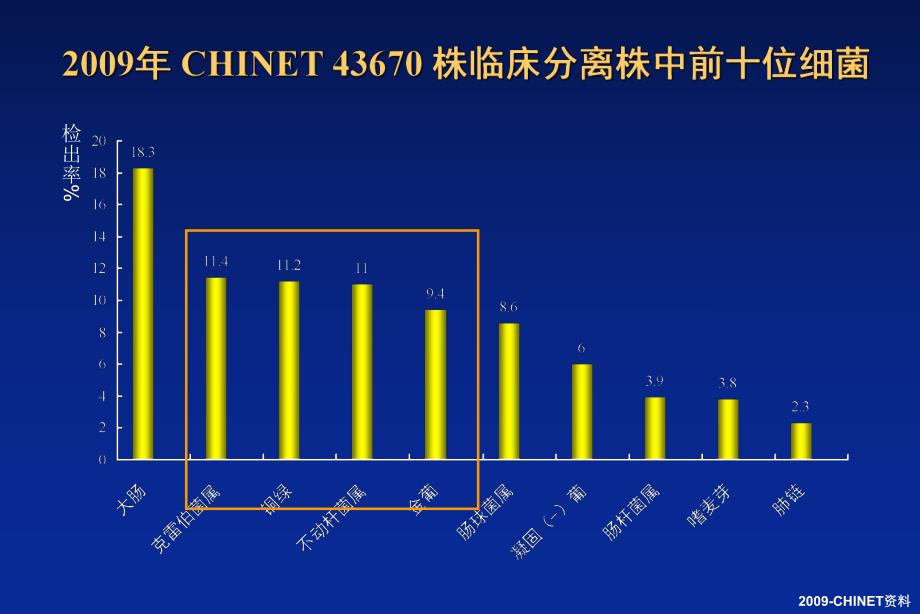 替考拉宁与肺炎.ppt_第2页