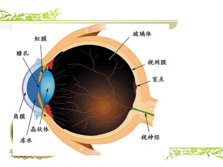 白内障围手术期护理课件.ppt_第3页