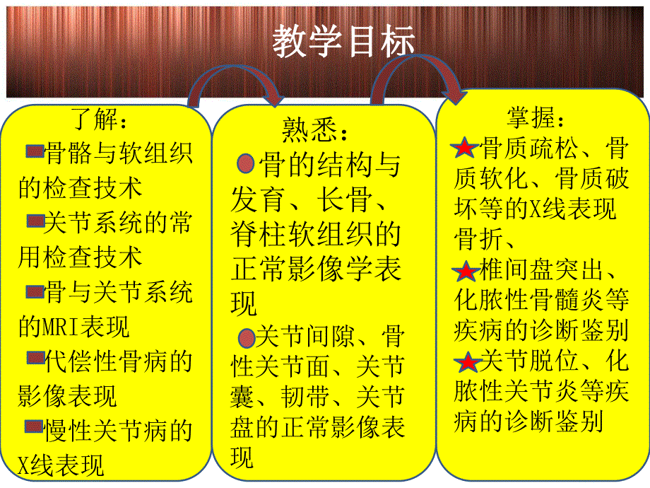 第二章骨与关节系统.ppt_第2页