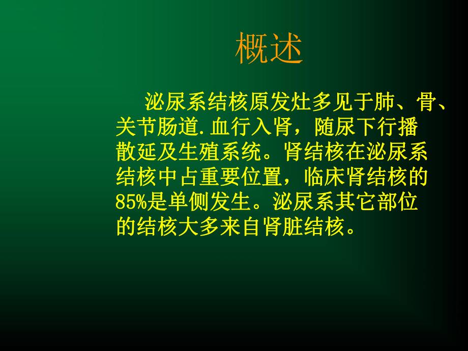 泌尿系结核.ppt_第2页