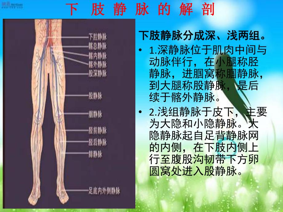 深静脉血栓的预防与护理.ppt_第3页