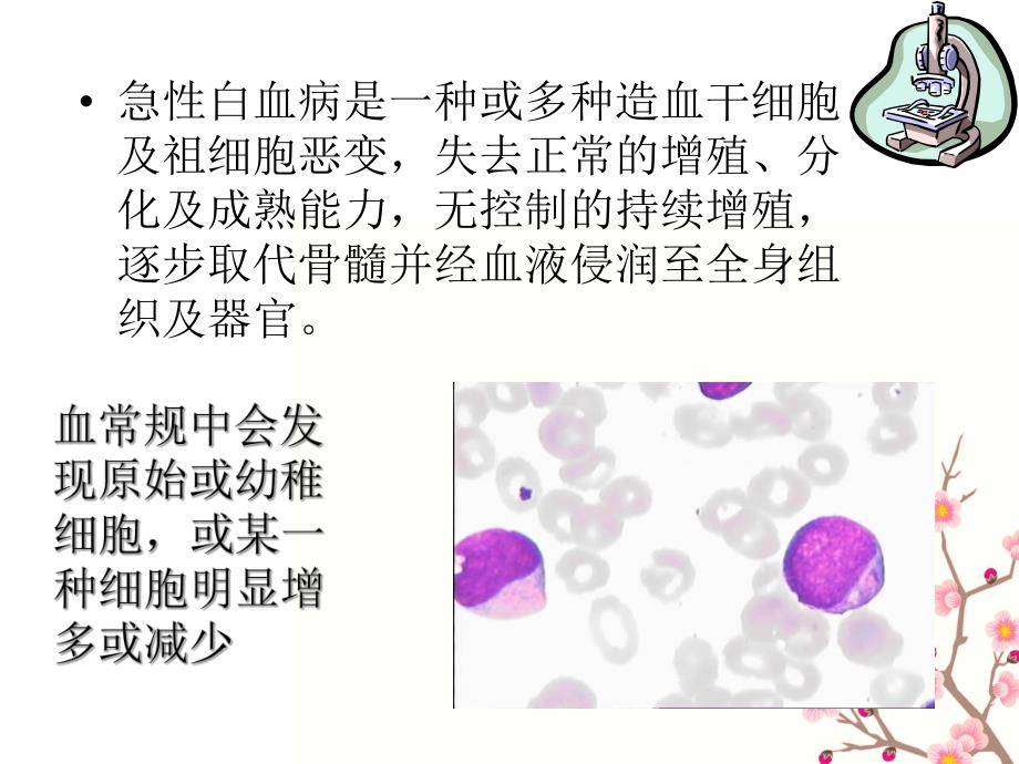 白血病的健康教育.ppt_第2页