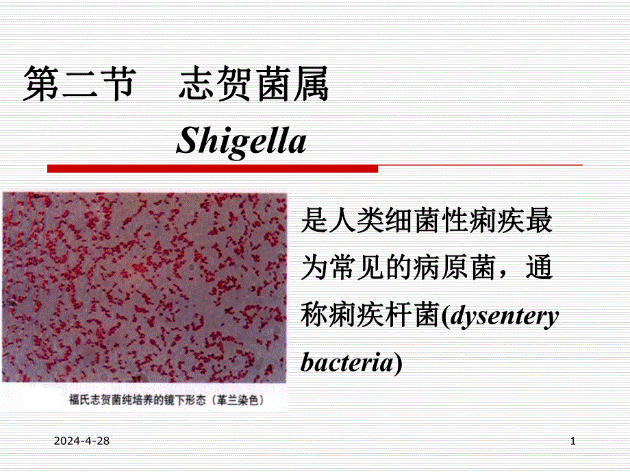 第10章 肠杆菌科.ppt_第1页