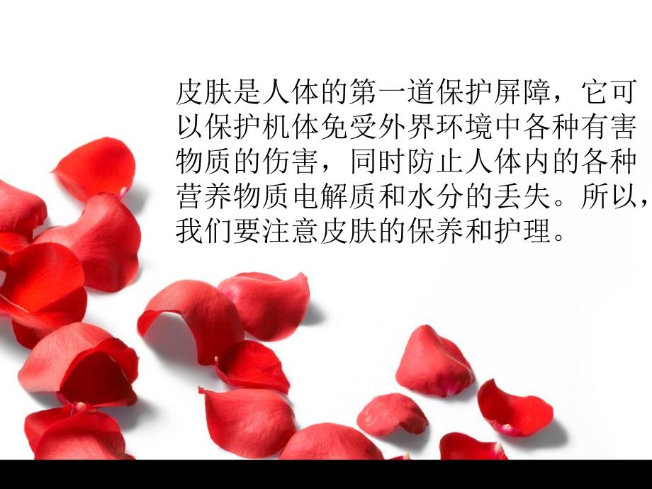 皮肤防护培训讲座PPT.ppt_第2页