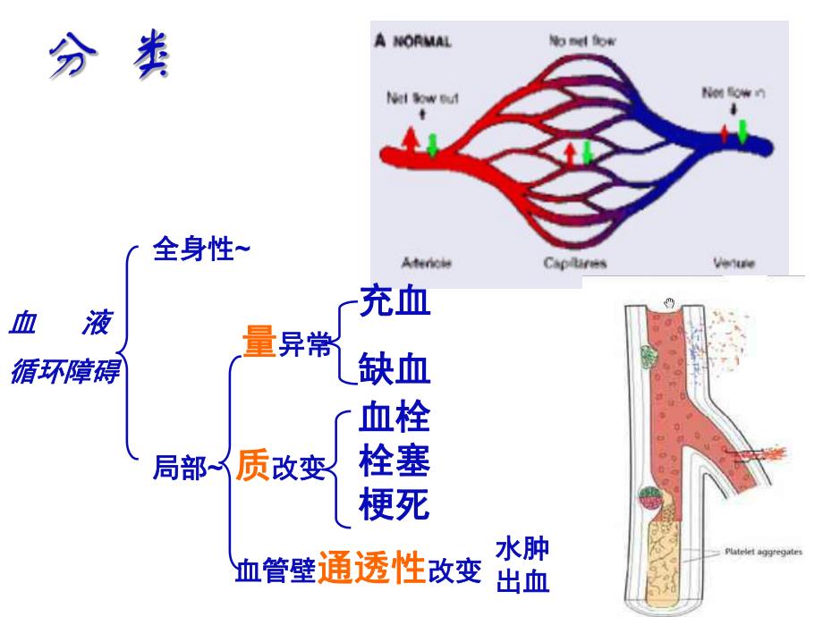 第三章局部血液循环障碍.ppt_第2页