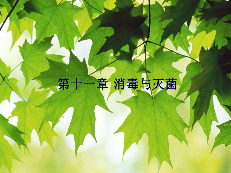 第11消毒与灭菌.ppt_第1页