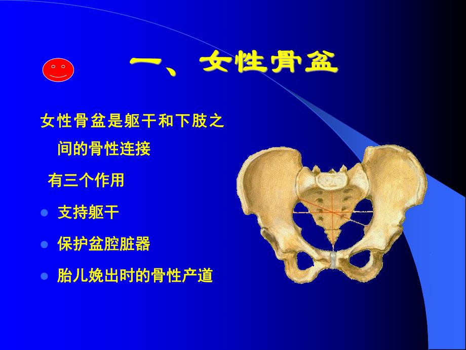 第二章女性生殖系统生理及经期保健护理.ppt_第3页