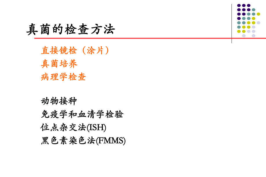 真菌性鼻窦炎.ppt.ppt_第3页