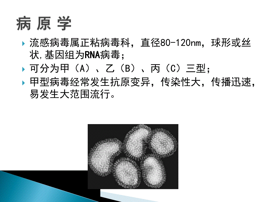 流行性感冒诊治现状.ppt_第3页