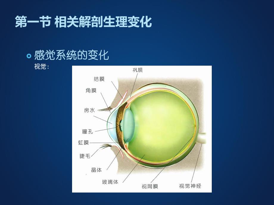 第六章 老人认知与感知的护理.ppt_第2页