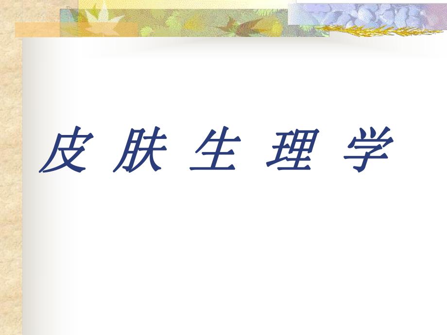 皮肤生理学ppt.ppt_第1页