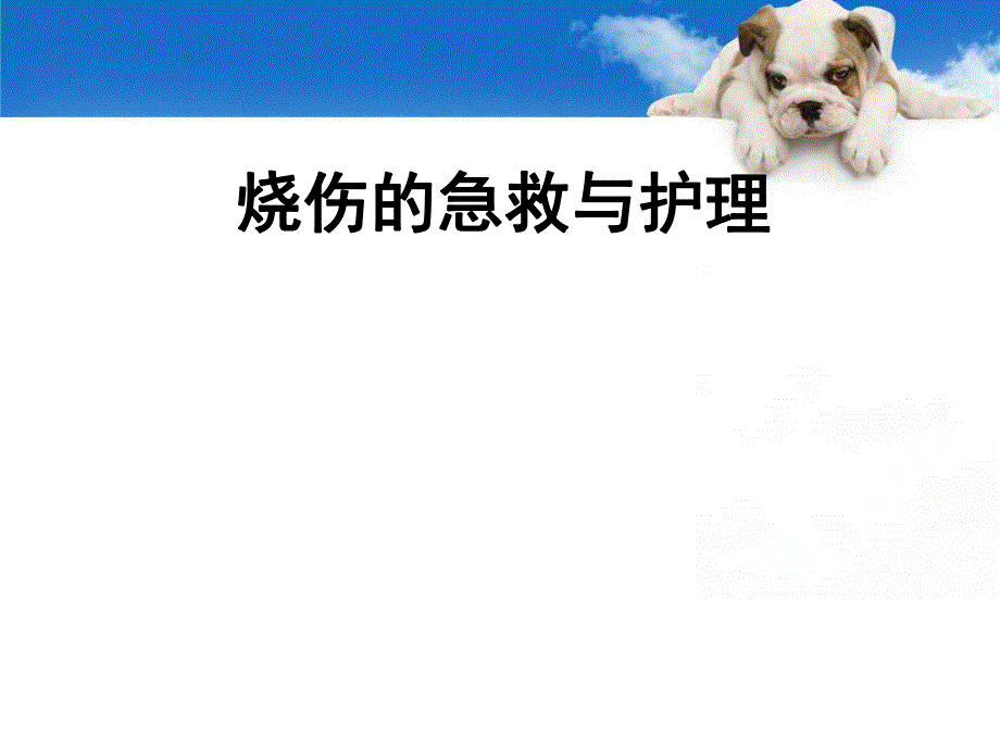 烧伤病人的护理.ppt_第1页