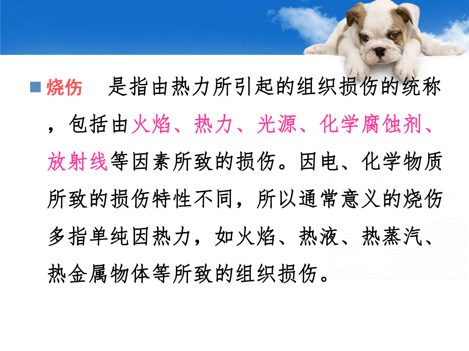 烧伤病人的护理.ppt_第2页