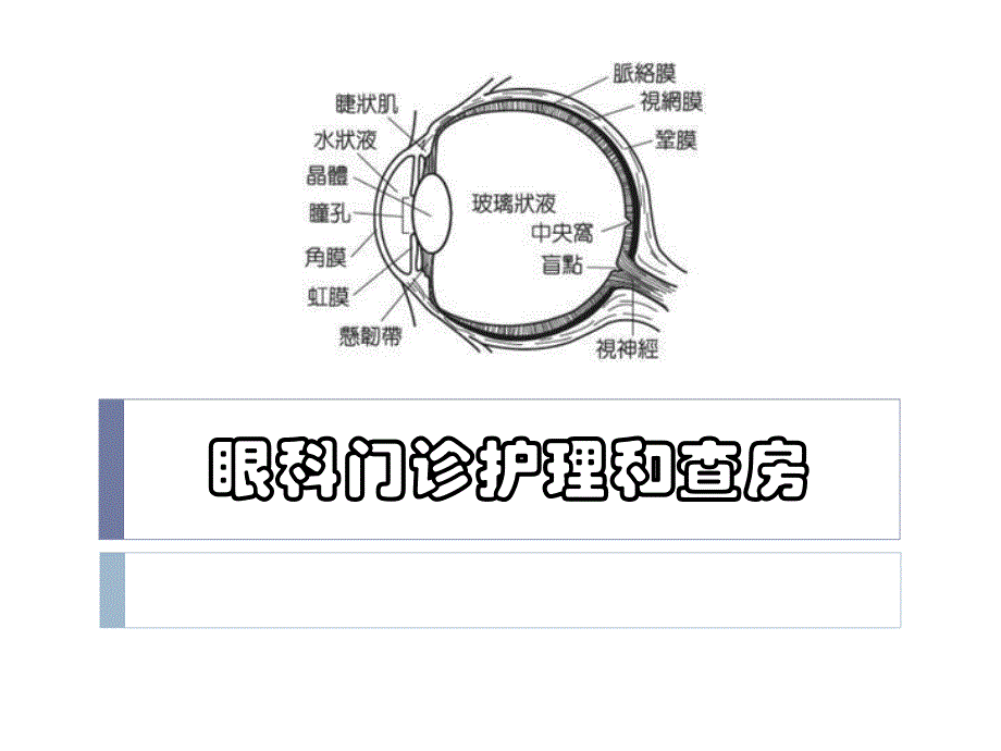 眼科护理工作制度和流程.ppt_第1页