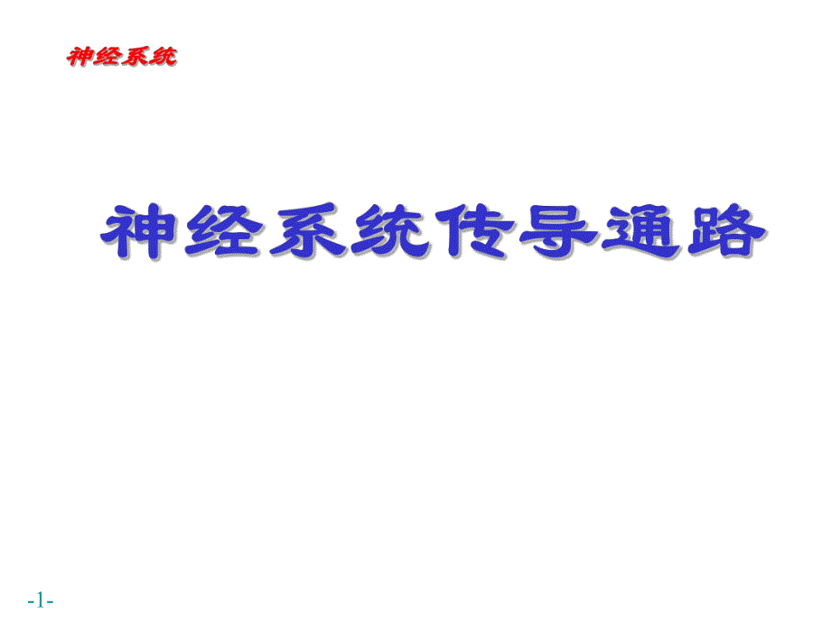 神经传导通路.ppt_第1页