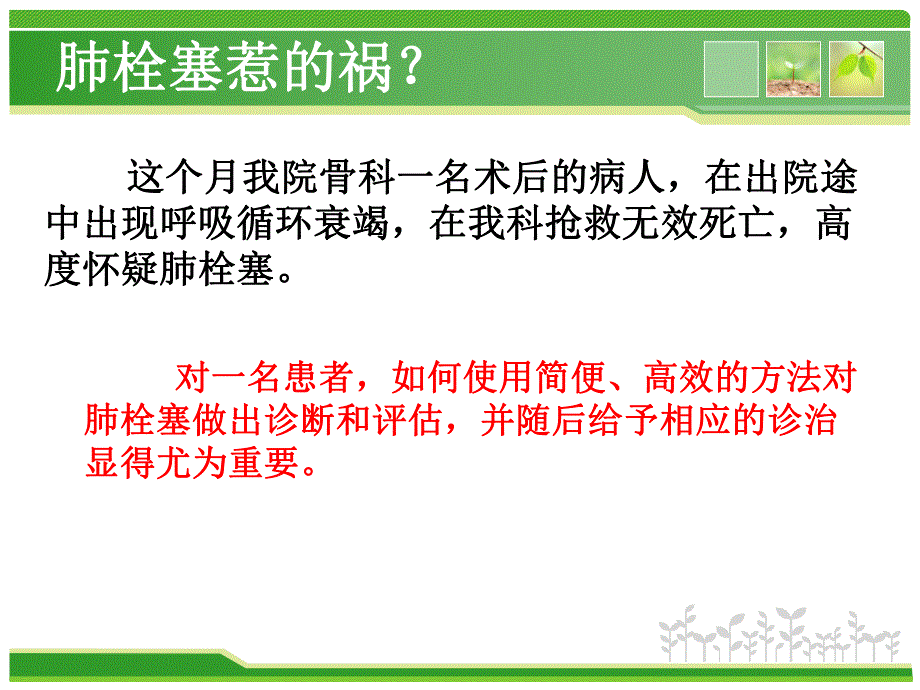 肺栓塞的诊断和评估.ppt_第2页