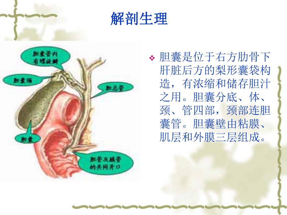 胆囊炎病人护理常.ppt_第3页