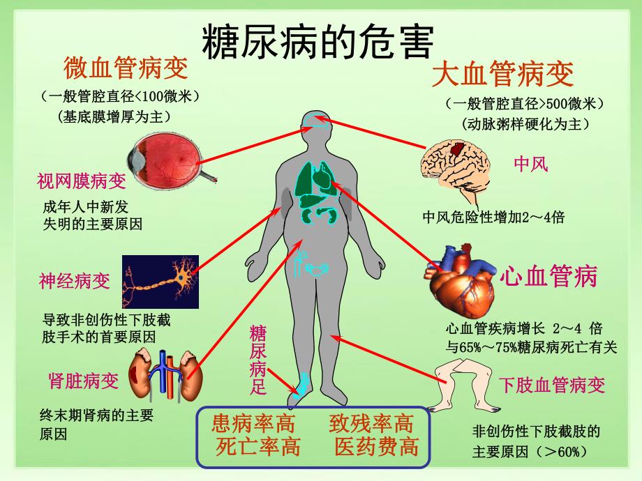 糖尿病肾病的诊治.ppt_第2页