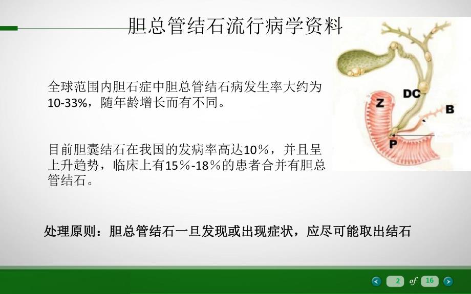 胆总管一期缝合.ppt_第2页