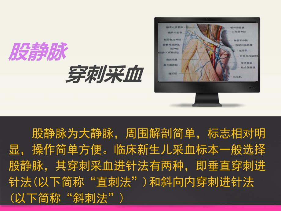 股静脉采血.ppt_第1页