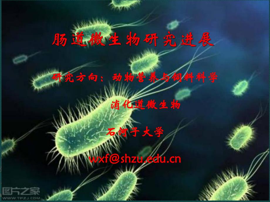 肠道微生物研究进展.ppt_第1页