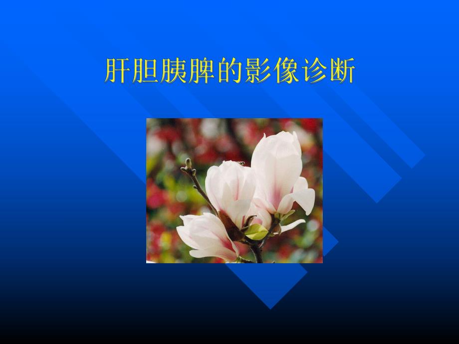 肝胆胰脾的影像诊断.ppt_第1页