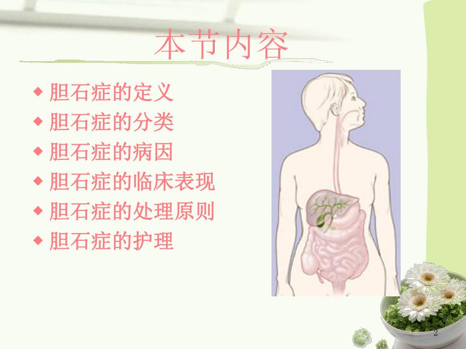 肝胆疾病的护理.ppt_第2页