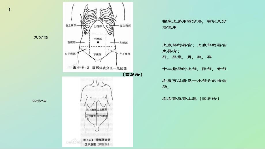 胆结石的隐患.ppt_第2页