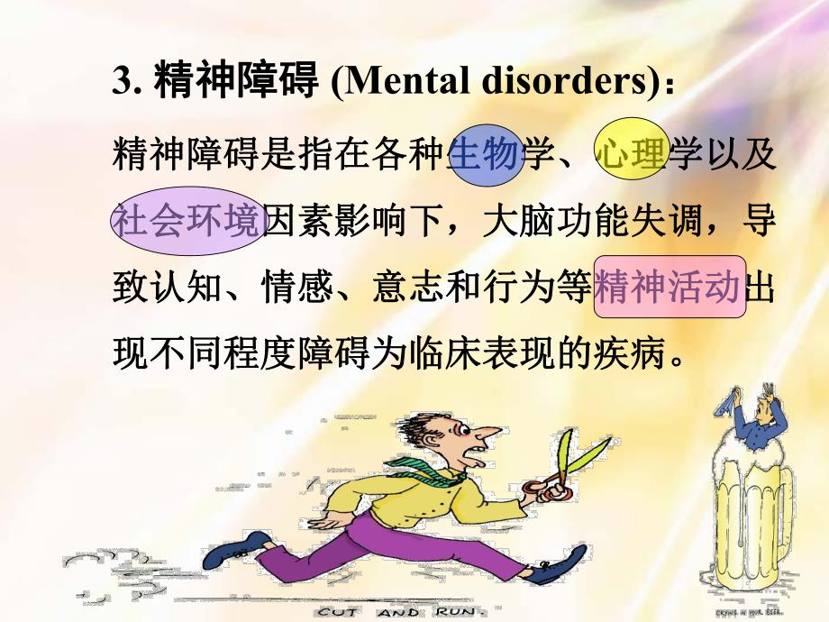 精神疾病的基础知识.ppt_第3页