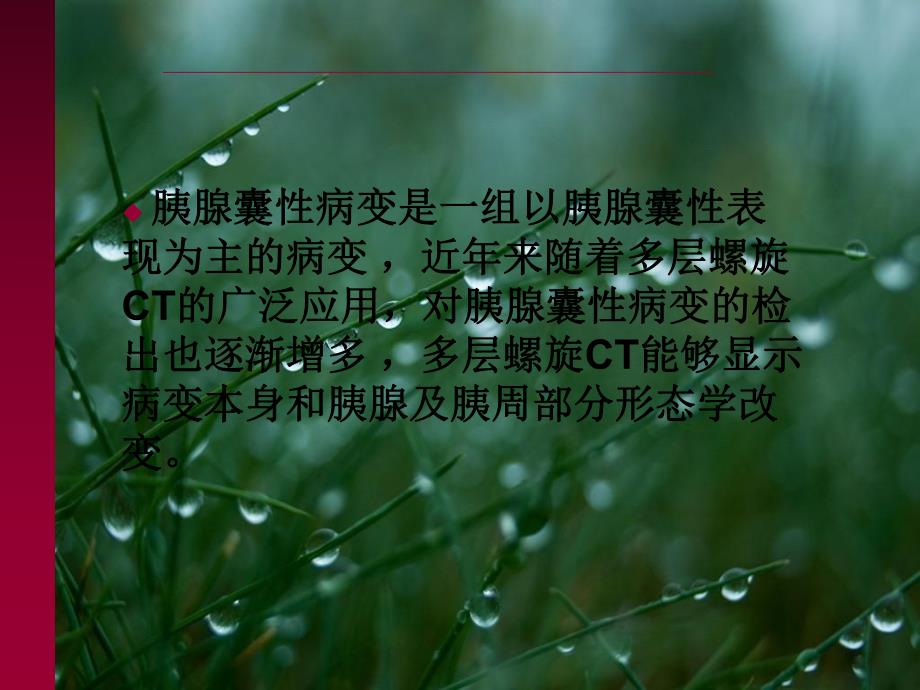 胰腺囊性病变.ppt_第2页