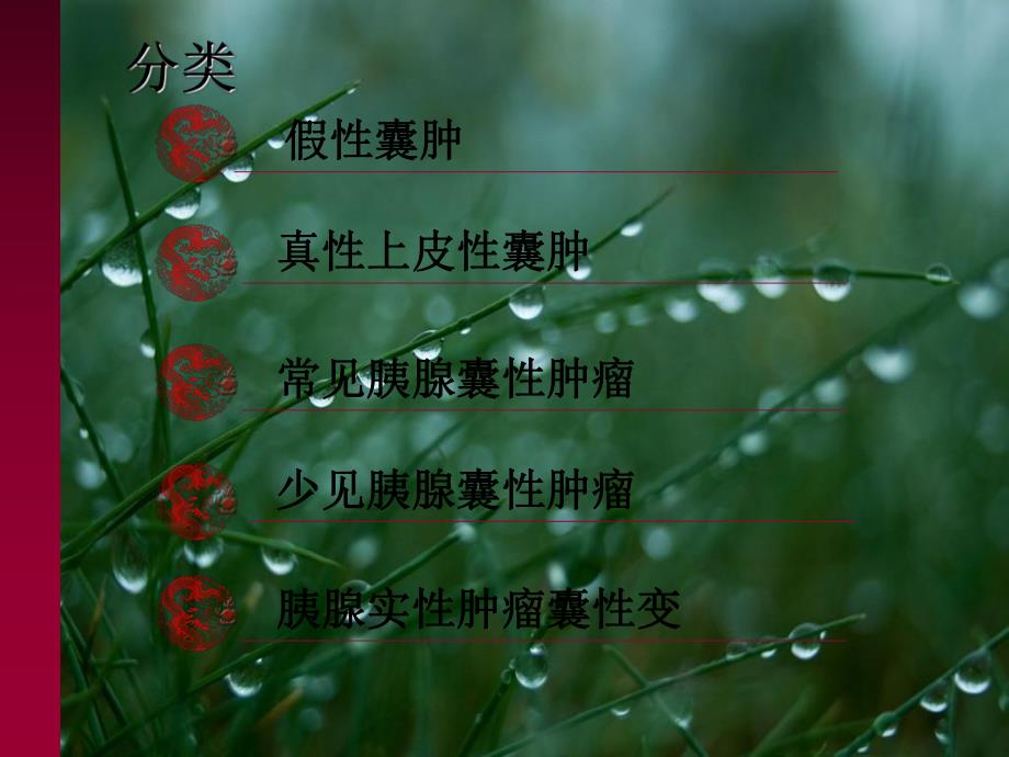 胰腺囊性病变.ppt_第3页