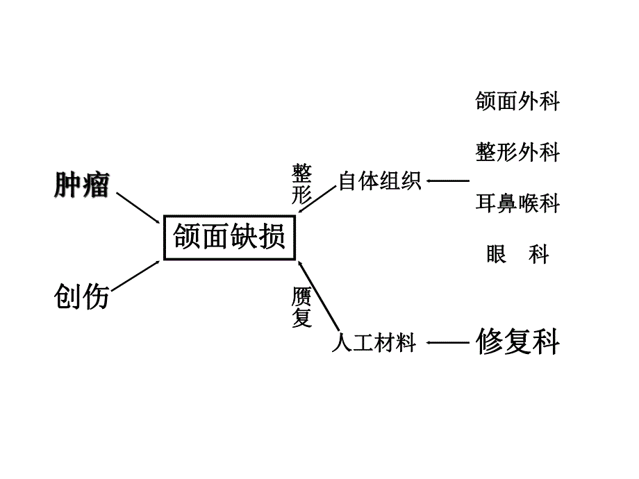 第十章颌面缺损修复.ppt_第3页