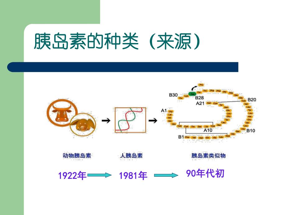 胰岛素的种类和用法最新最完整.ppt_第2页