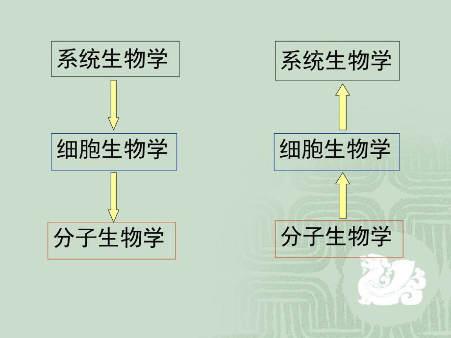 细胞自噬参考.ppt.ppt_第2页