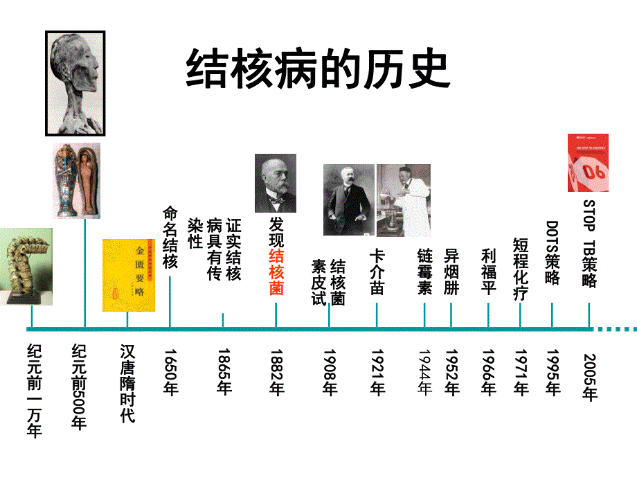 结核病防治基础知识.ppt_第2页