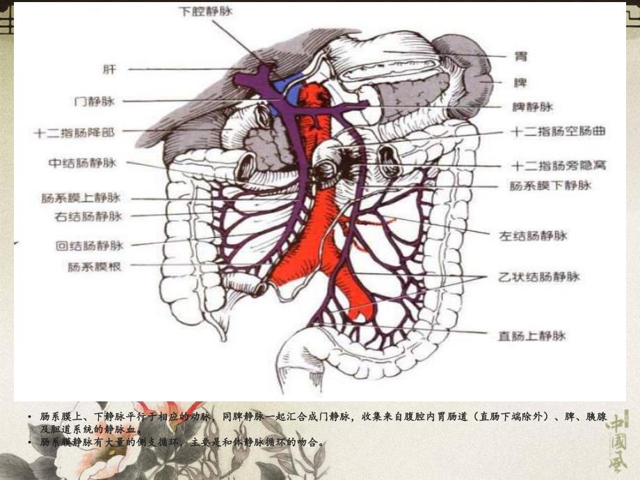 肠系膜静脉血栓形成.ppt_第2页