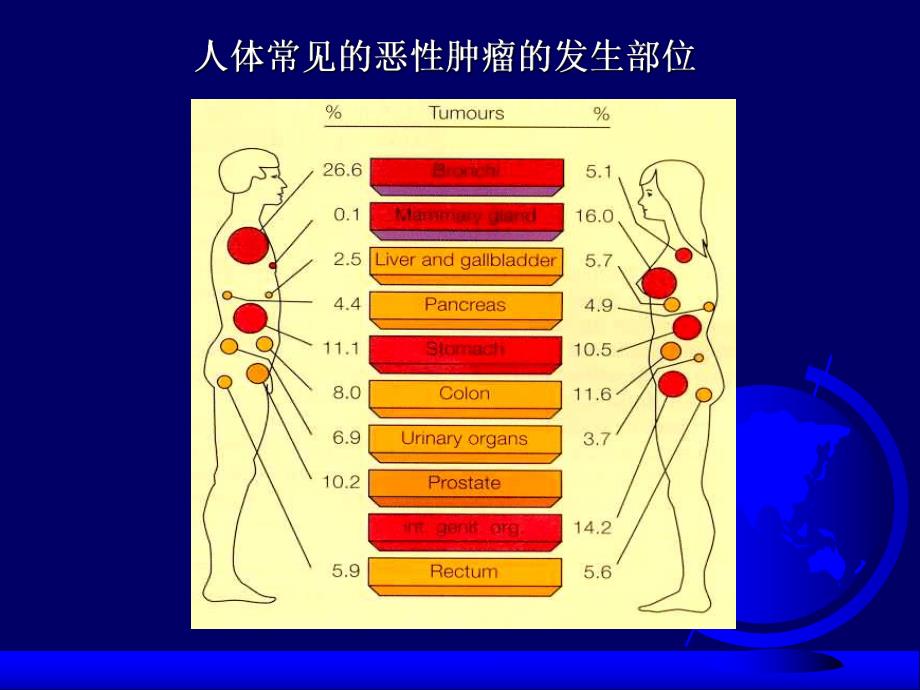 肿瘤标志物.ppt_第3页