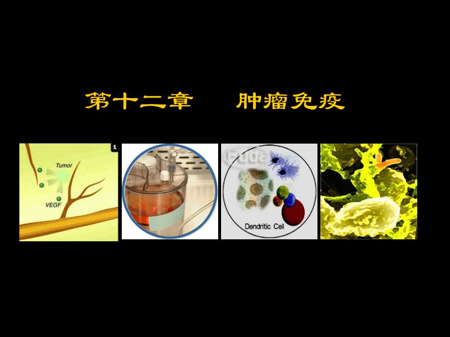 第十二章肿瘤免疫.ppt_第1页