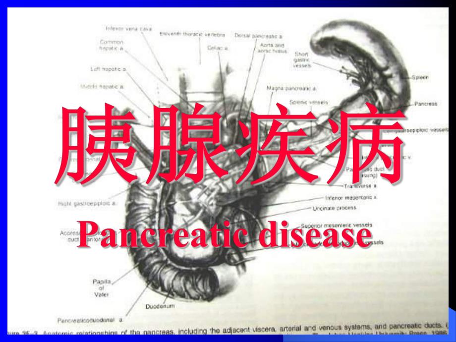 胰腺疾病.ppt_第1页