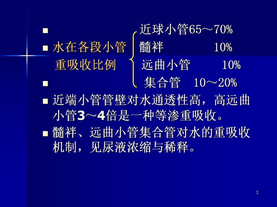 肾的排泄功能ppt.ppt_第3页