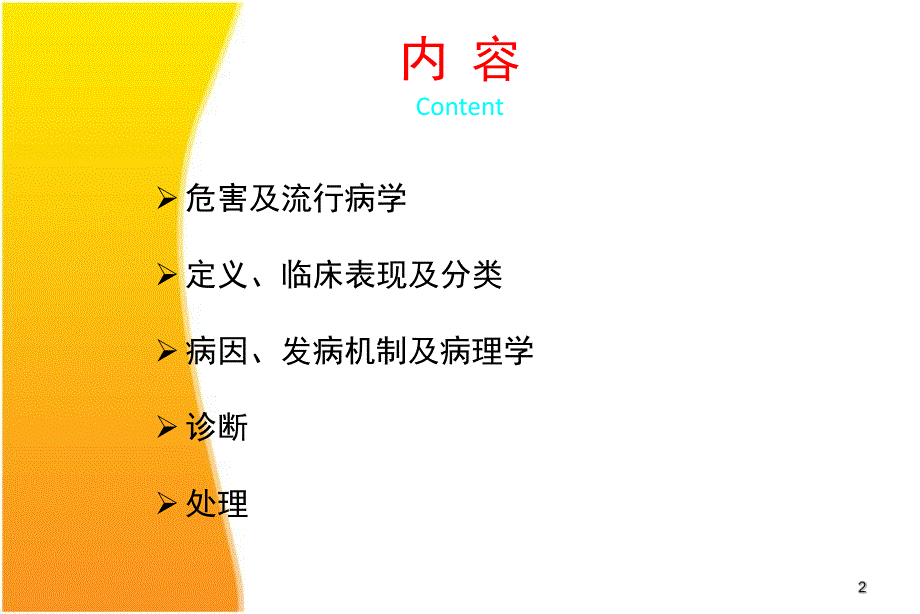 糖尿病周围神经病变诊疗策略.ppt_第2页